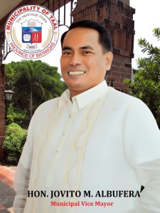 vice mayor